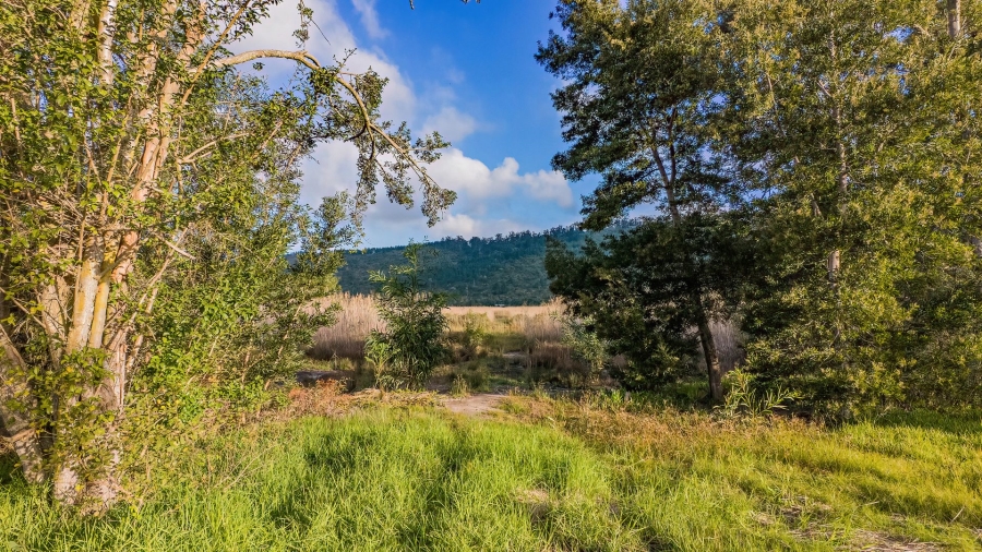 Commercial Property for Sale in Sedgefield Rural Western Cape